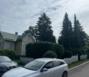 Pensaiden leikkaus Helsingissä
